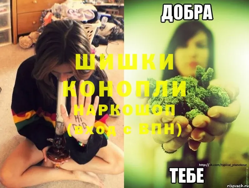 дарнет шоп  MEGA   Бошки Шишки OG Kush  Бежецк 